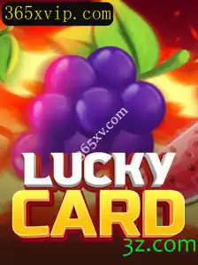 Descubra o Fascinante Mundo de LuckyCard no 365xv.com
